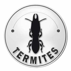 Diagnostic Termites