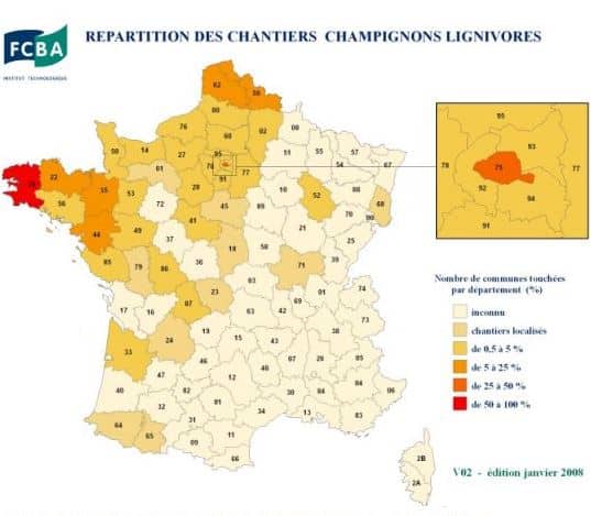 Zones à risques Mérule