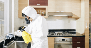 Diagnostic immobilier : faut-il y intégrer une analyse parasitaire ?