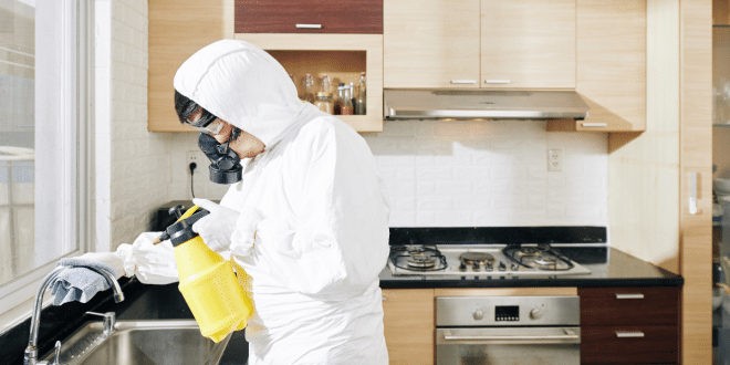 Diagnostic immobilier : faut-il y intégrer une analyse parasitaire ?